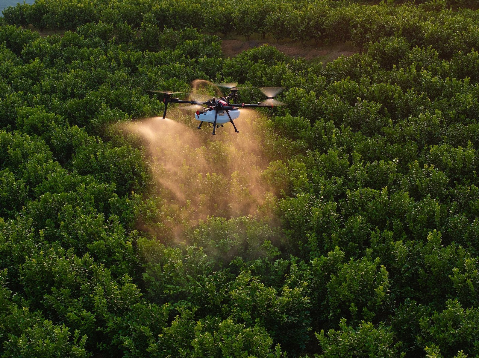 Drone XAG P150 Max con sistema RevoSpray fumigando cultivo en México — servicio de fumigación drones XAG Sinaloa